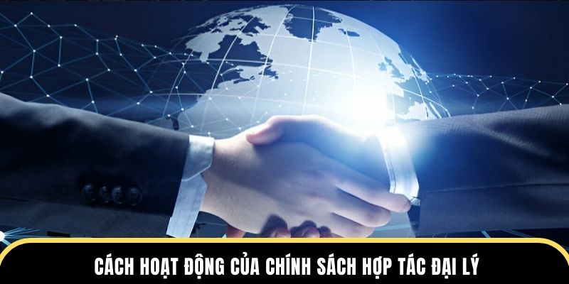 Cách hoạt động của chính sách hợp tác đại lý 