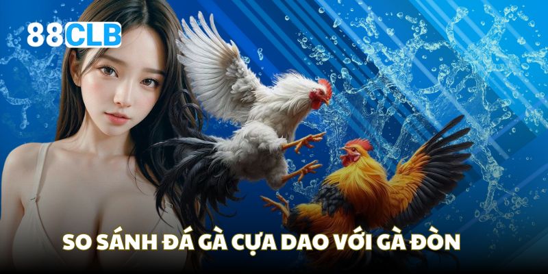 So sánh giữa chọi gà cựa dao với hình thức truyền thống